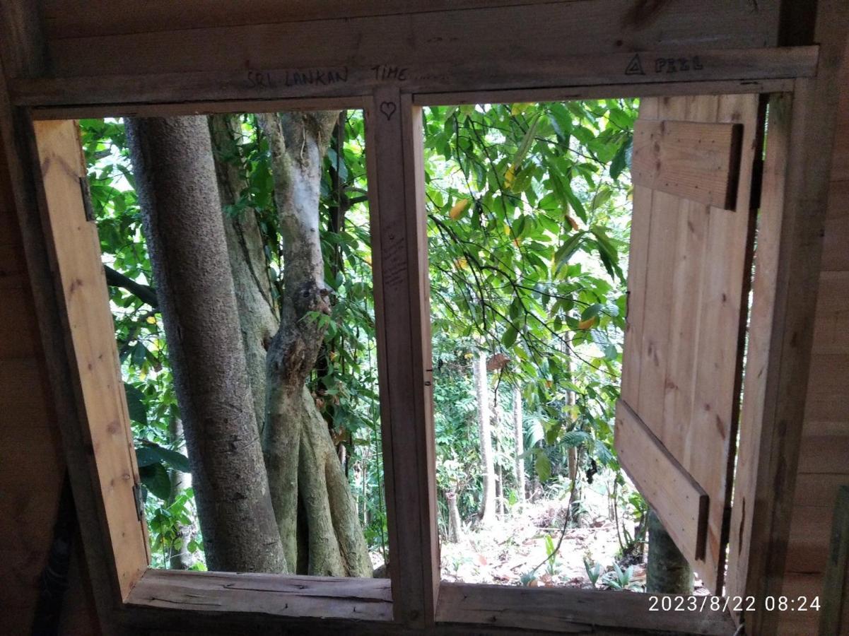 Spiritual Nature Farm - Sri Lanka Matale Exterior foto
