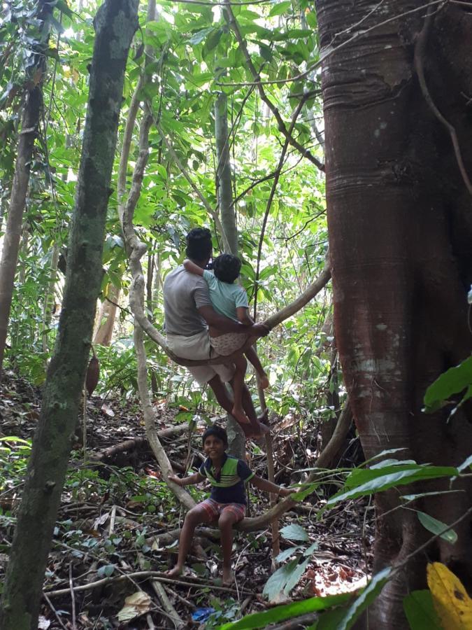 Spiritual Nature Farm - Sri Lanka Matale Exterior foto