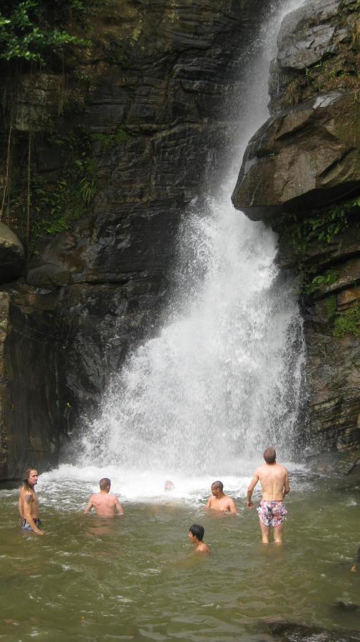 Spiritual Nature Farm - Sri Lanka Matale Exterior foto