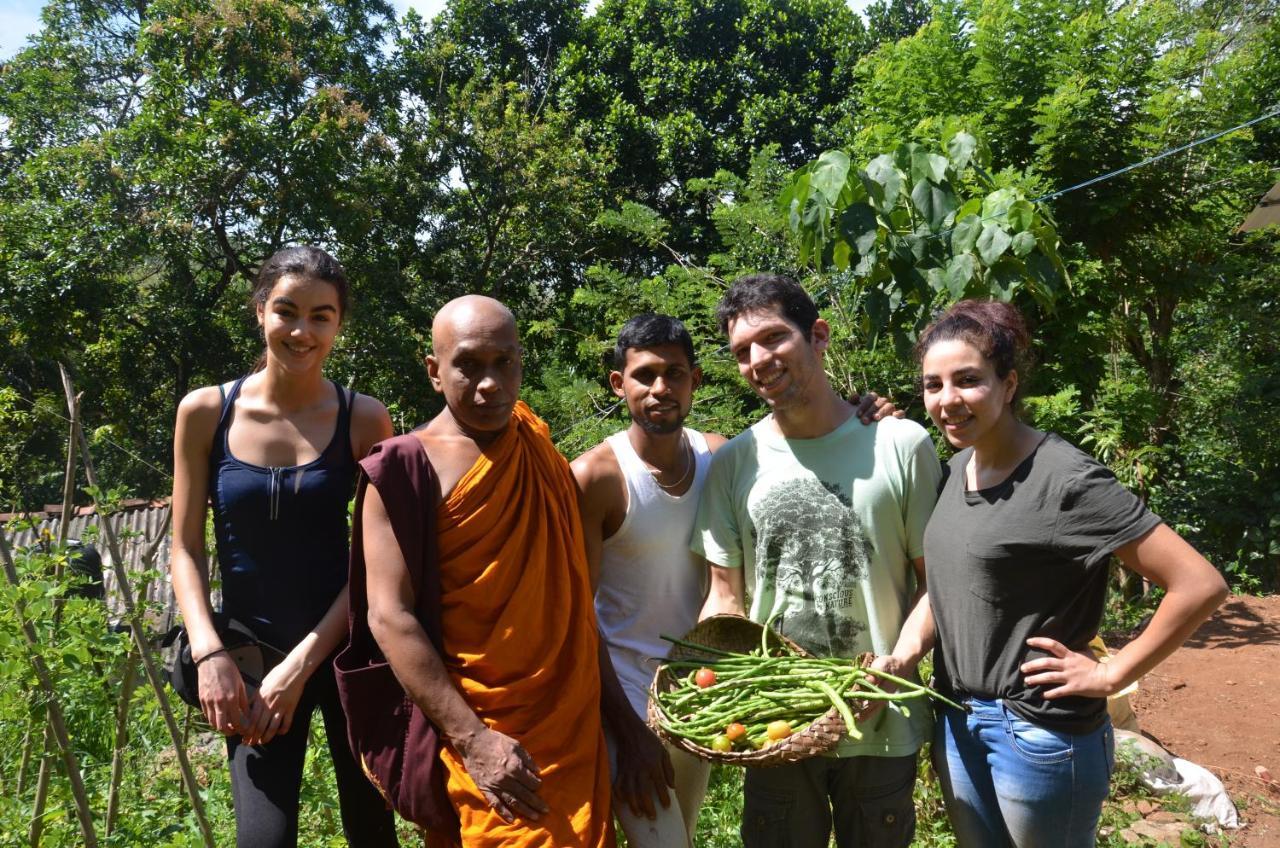 Spiritual Nature Farm - Sri Lanka Matale Exterior foto