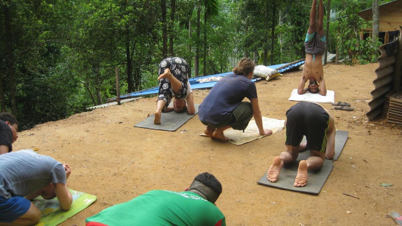Spiritual Nature Farm - Sri Lanka Matale Exterior foto