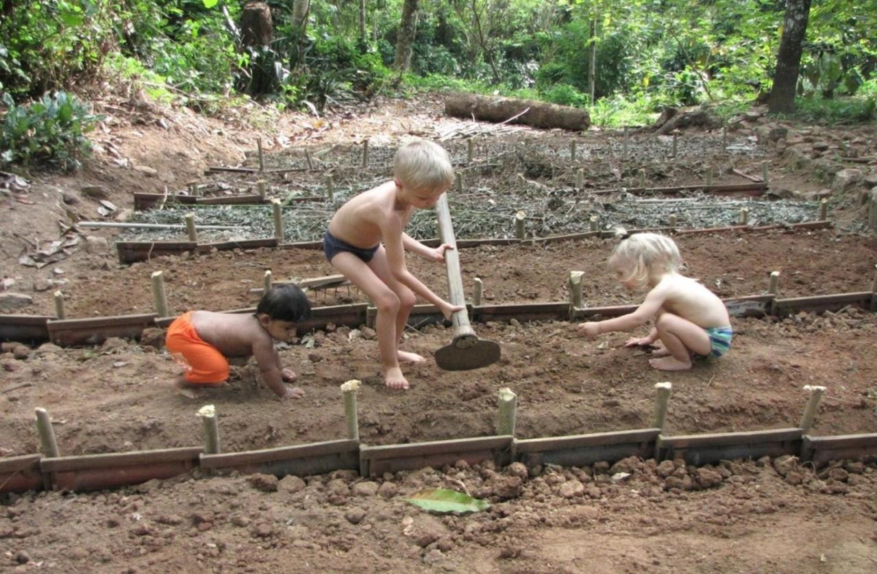 Spiritual Nature Farm - Sri Lanka Matale Exterior foto